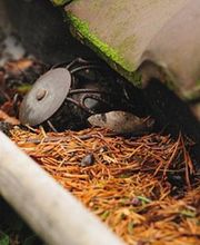 Kaufmann Gotthard AG Bild 12