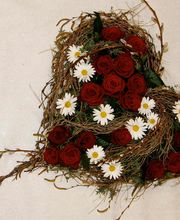 Götschi Hanspeter Bild 3