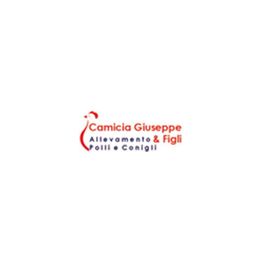 Azienda Agricola Camicia logo
