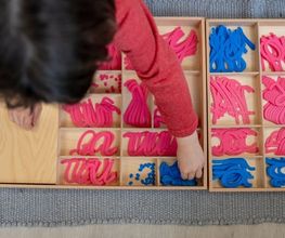 Ecole Montessori La Marelle Bild 9