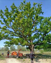 Tachet Pierre-Hubert image 9