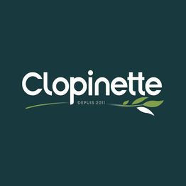 Clopinette Cigarette Electronique