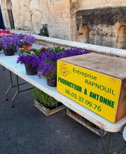 Rapnouil Stephane image 1