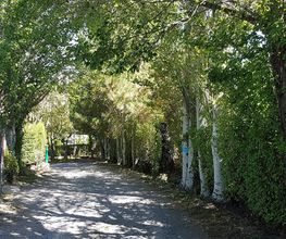 Camping Ruta del Purche imagen 8