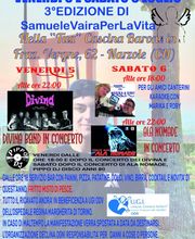 Gallery Cliente