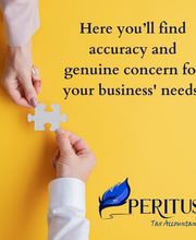 Peritus, Ltd. image 11