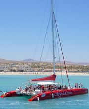 OBYCAT Experience imagen 1