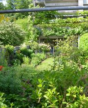 Schär & Stalder Gartenbau GmbH Bild 1