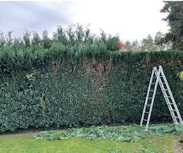 Haus- und Gartenservice - Mittelfranken Pavel Vostarek Bild 12
