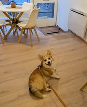 Le 20/80 - Bar à Smoothie Proteiné & Nutrition image 1