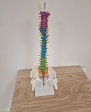 L écho des sens image 4