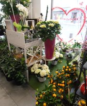 Florilege et harmonie image 16