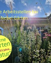 Moor-Nebel Gärten GmbH Bild 3