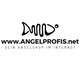 Angelprofis