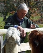 Alpaka Trekking Balmberg Tannenheim Bild 3