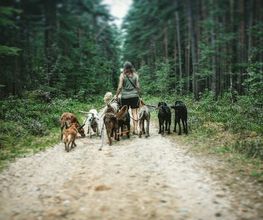 Doglife Bild 1
