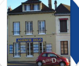 Dilo89 Immobilier image 2