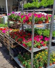 Weldom Dunieres image 9