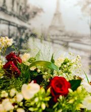 Le Poème Brasserie Bild 9