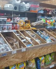 AmaitaVet Clínica Veterinaria imagen 8