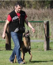 Cyno Sport Protect image 1