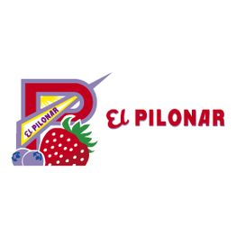 Logo-EL-PILONAR-Lateral1.png