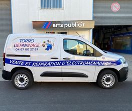 Torro Dépannage image 1
