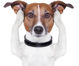 Hörstudio Hessel Bild 8