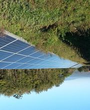 RENEWABLE ENERGY ADVISORS S.L. imagen 11