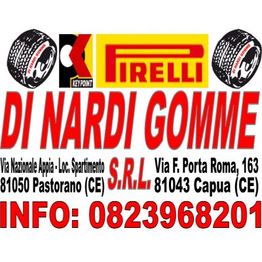 Di Nardi Gomme logo