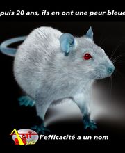 Actisud image 1