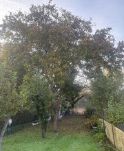 Le Petit Paysagiste image 1