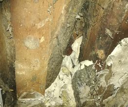 TCL 43 image 10