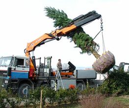 Les Artisans de L'Arbre Sarl Bild 8