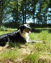 Les Moustaches en Vacances image 13