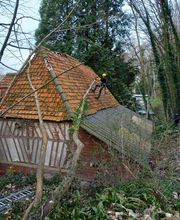 Arbor & Paysage image 14