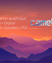 Camelance Communication image 5