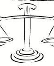 Secci Dorothée image 6