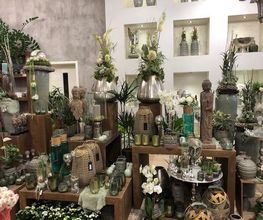 Blumenhaus Knagge Bild 13