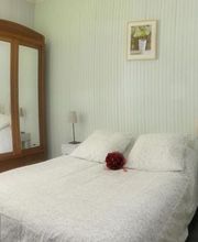 Fleur Des Alpes image 1