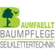 BAUMFAELLT - Baumpflege - Seilklettertechnik