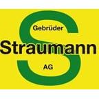 Gebrüder Straumann AG logo