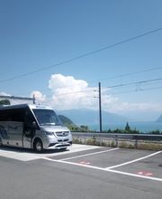 Nüssli AG Carreisen, Kranarbeiten und Transporte Bild 4