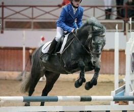 Ecuries des Tourelles image 14