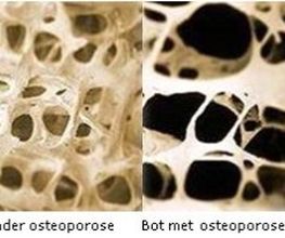Pronk Osteopaat DO MRO