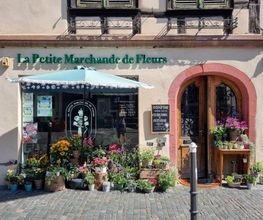 La Petite Marchande de Fleurs image 2