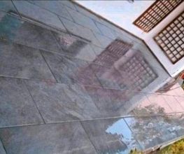 1000074002.jpg