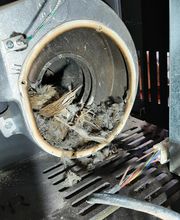 Boissonnade et Fils Ramonage image 14