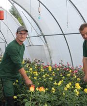 Blumenhaus Wosch Bild 5