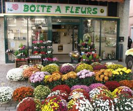 AM Déco Fleurs image 11